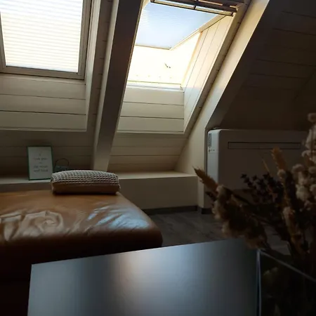 Apartmán V Podkrovi Maly Pariz *